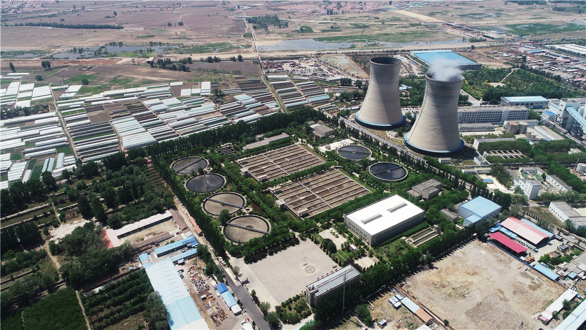 任您躁水蜜桃code视频