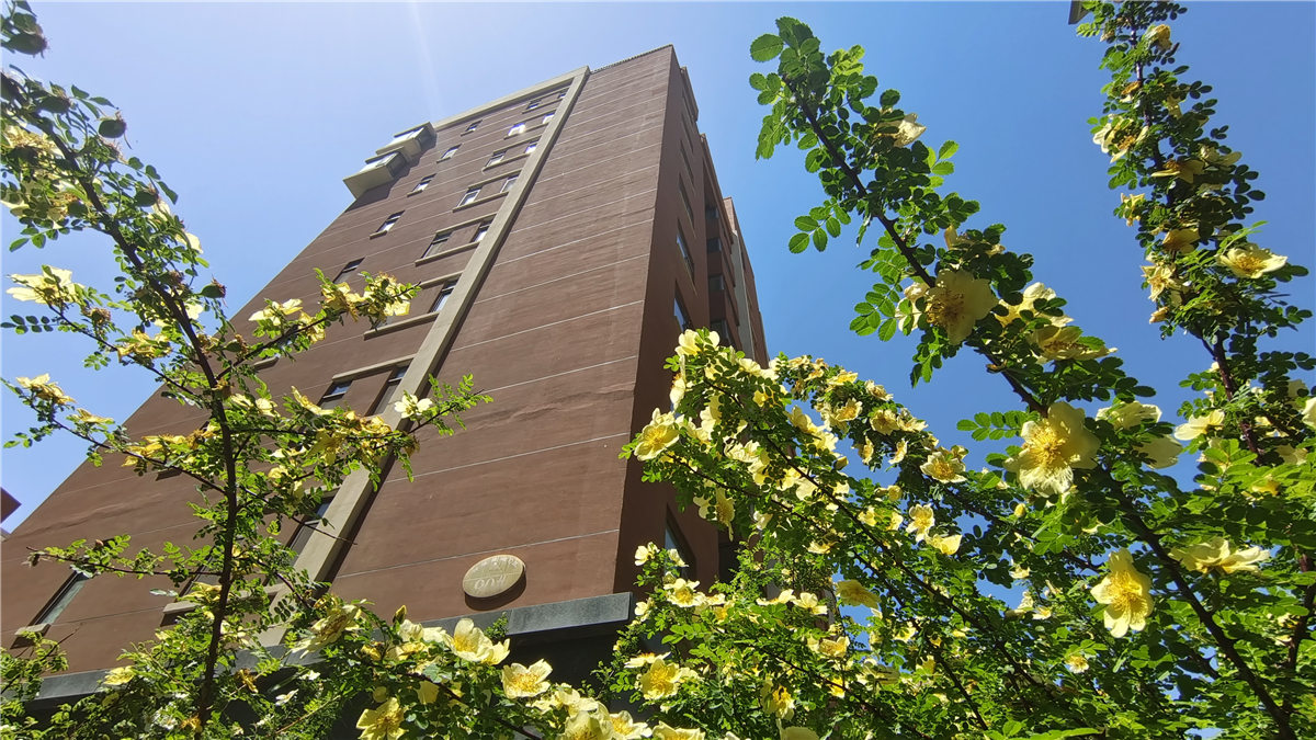 任您躁水蜜桃code视频