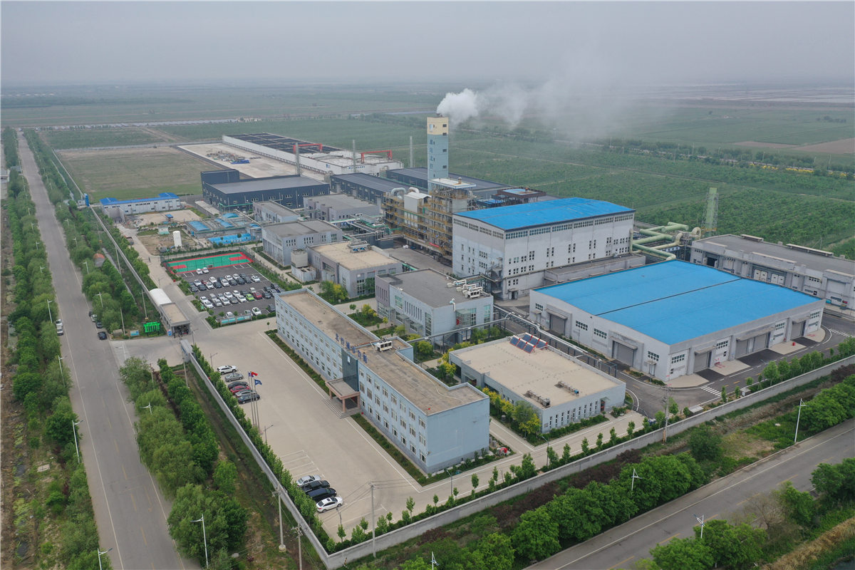 任您躁水蜜桃code视频