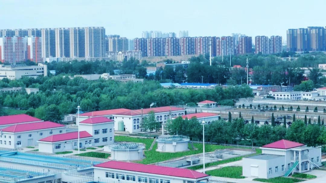 任您躁水蜜桃code视频