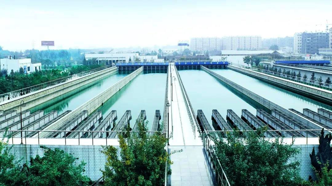 任您躁水蜜桃code视频