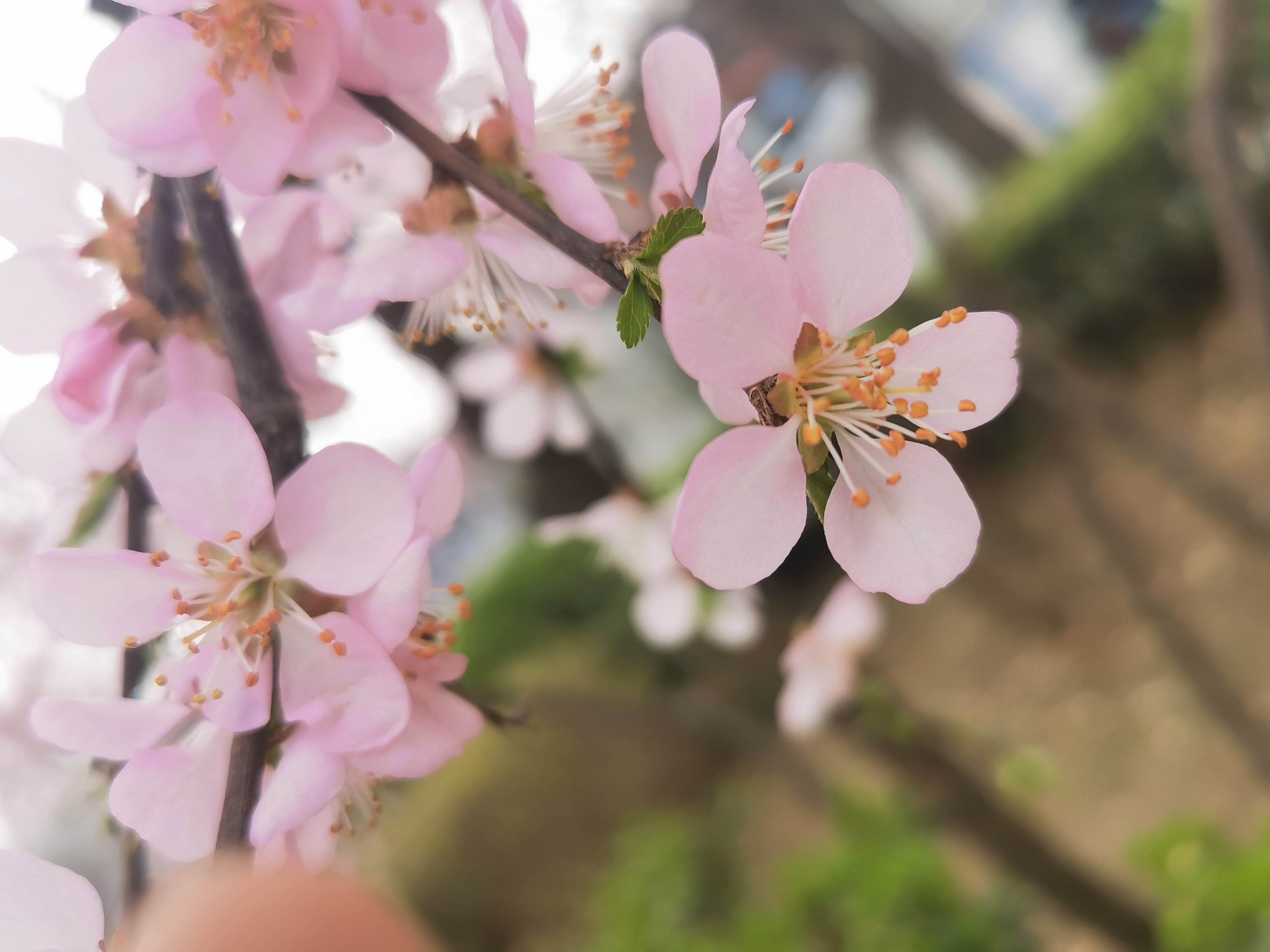 任您躁水蜜桃code视频