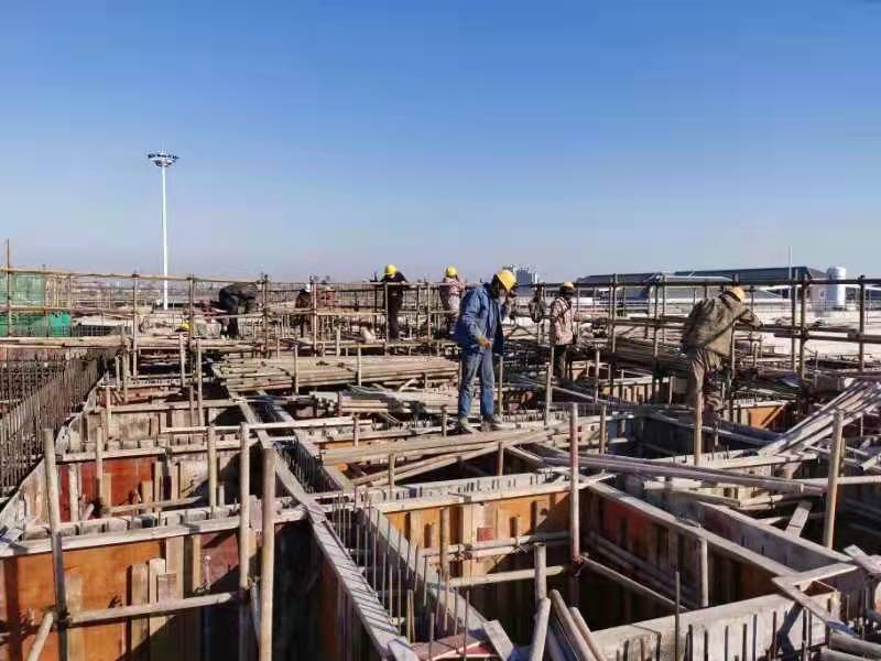 任您躁水蜜桃code视频