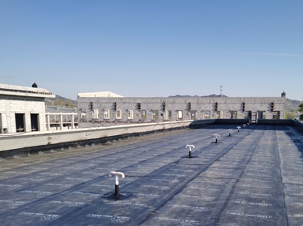 任您躁水蜜桃code视频