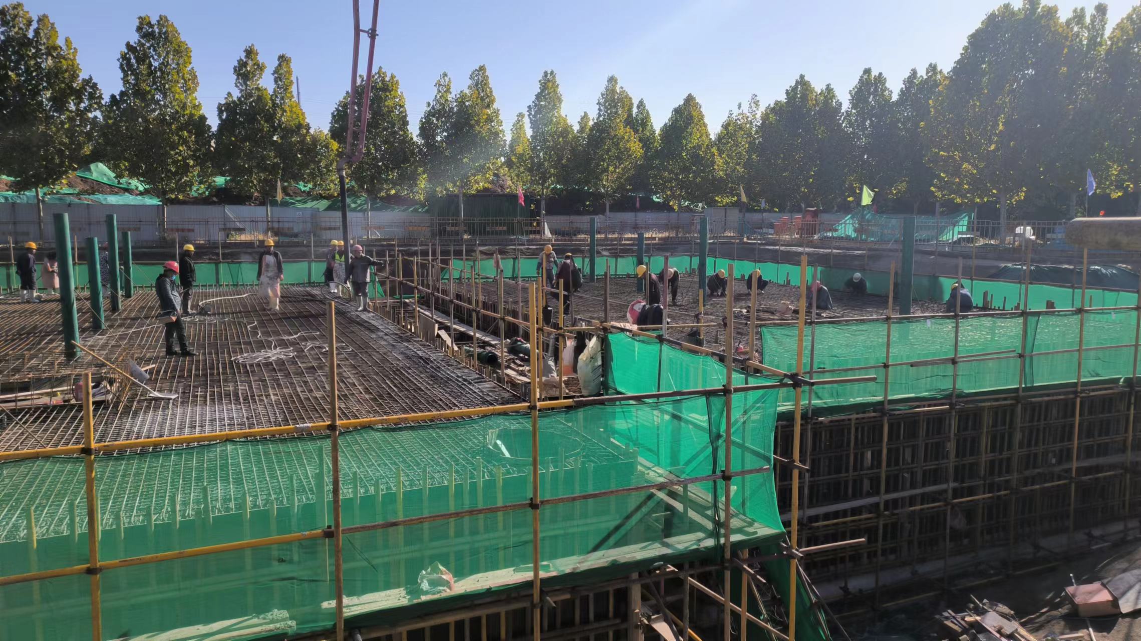 任您躁水蜜桃code视频