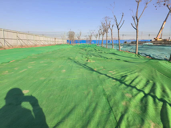 任您躁水蜜桃code视频