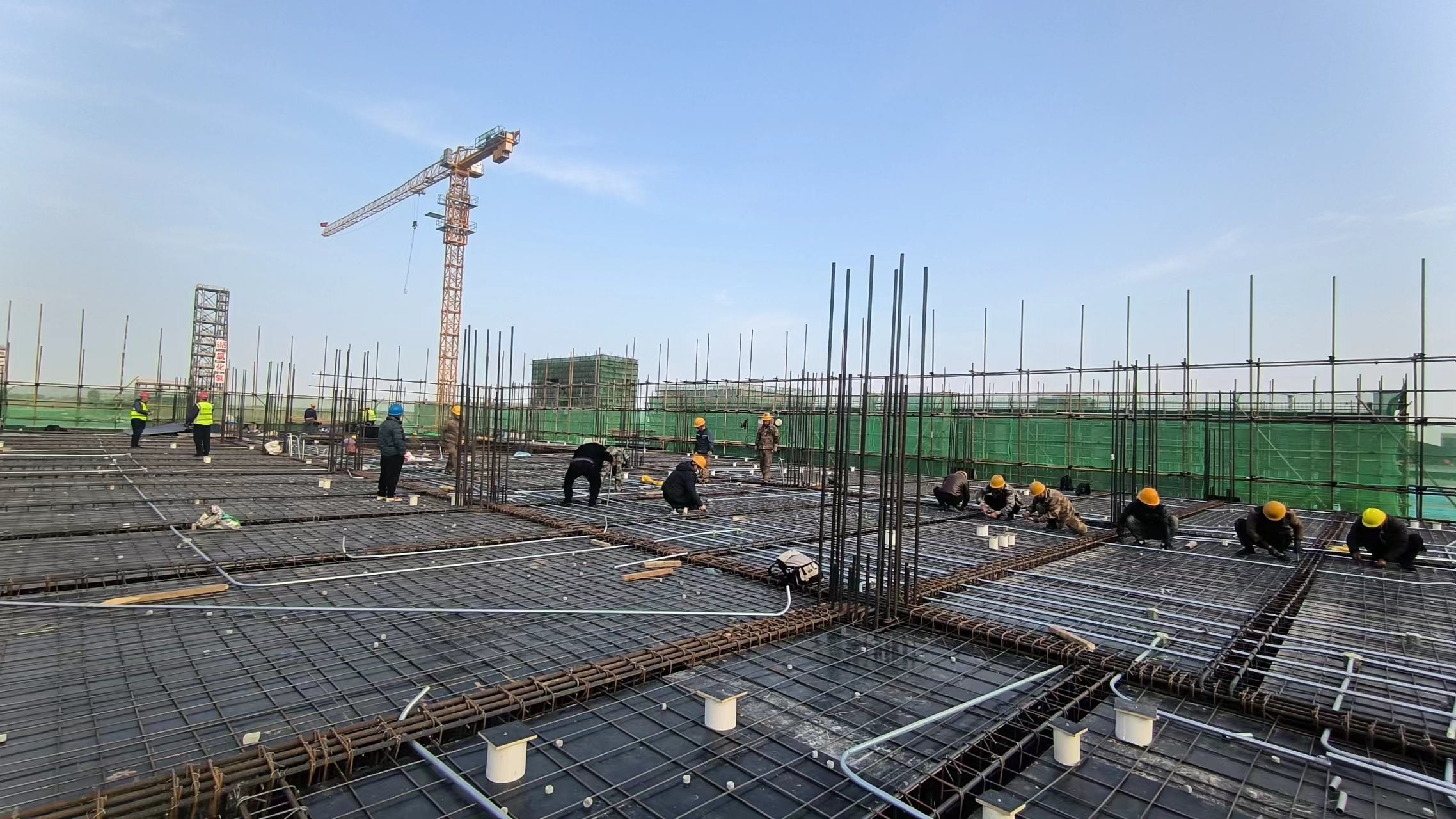 任您躁水蜜桃code视频