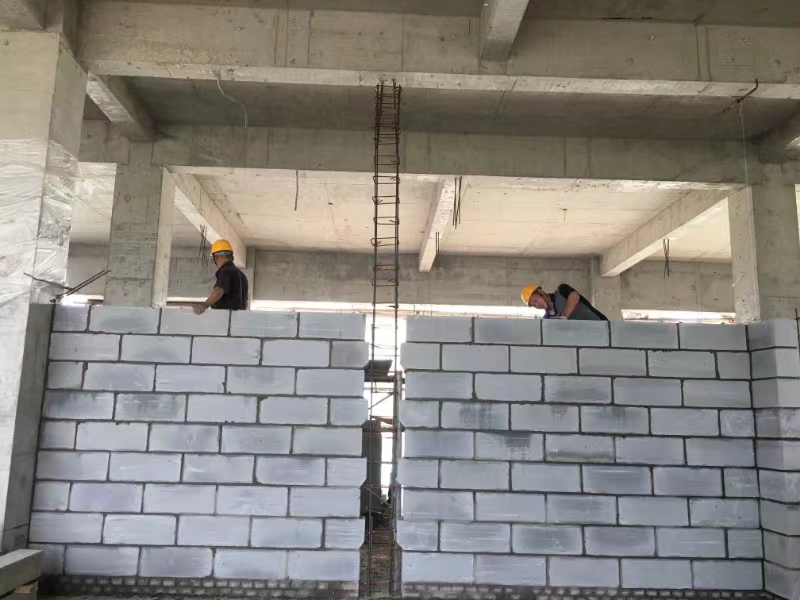 任您躁水蜜桃code视频