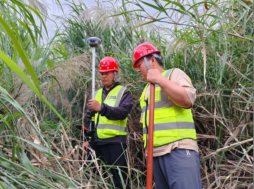 任您躁水蜜桃code视频