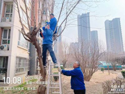 任您躁水蜜桃code视频