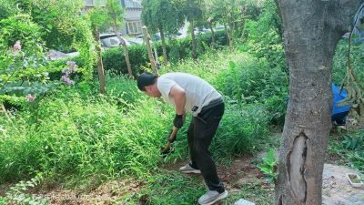 任您躁水蜜桃code视频