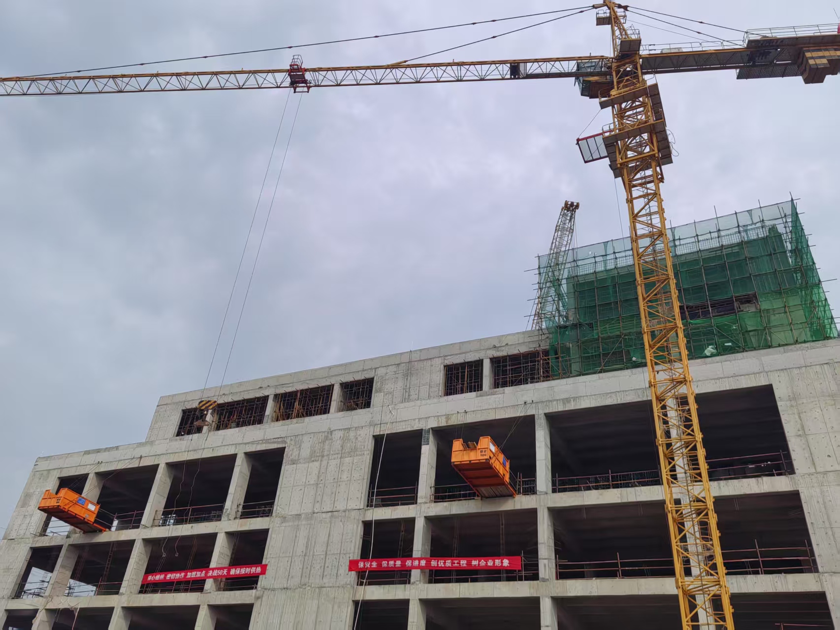 任您躁水蜜桃code视频