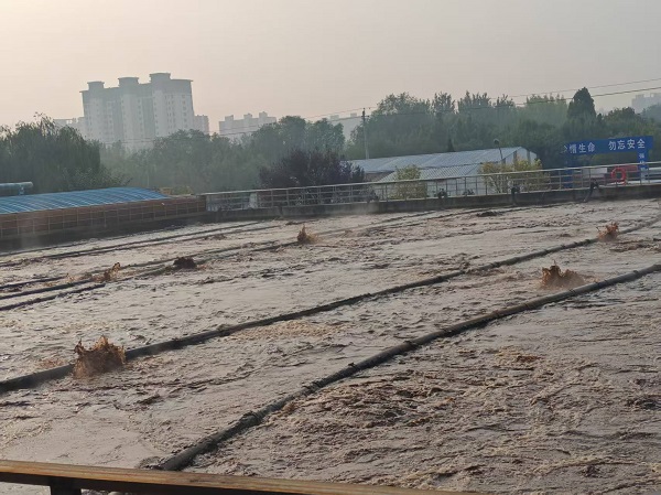 任您躁水蜜桃code视频